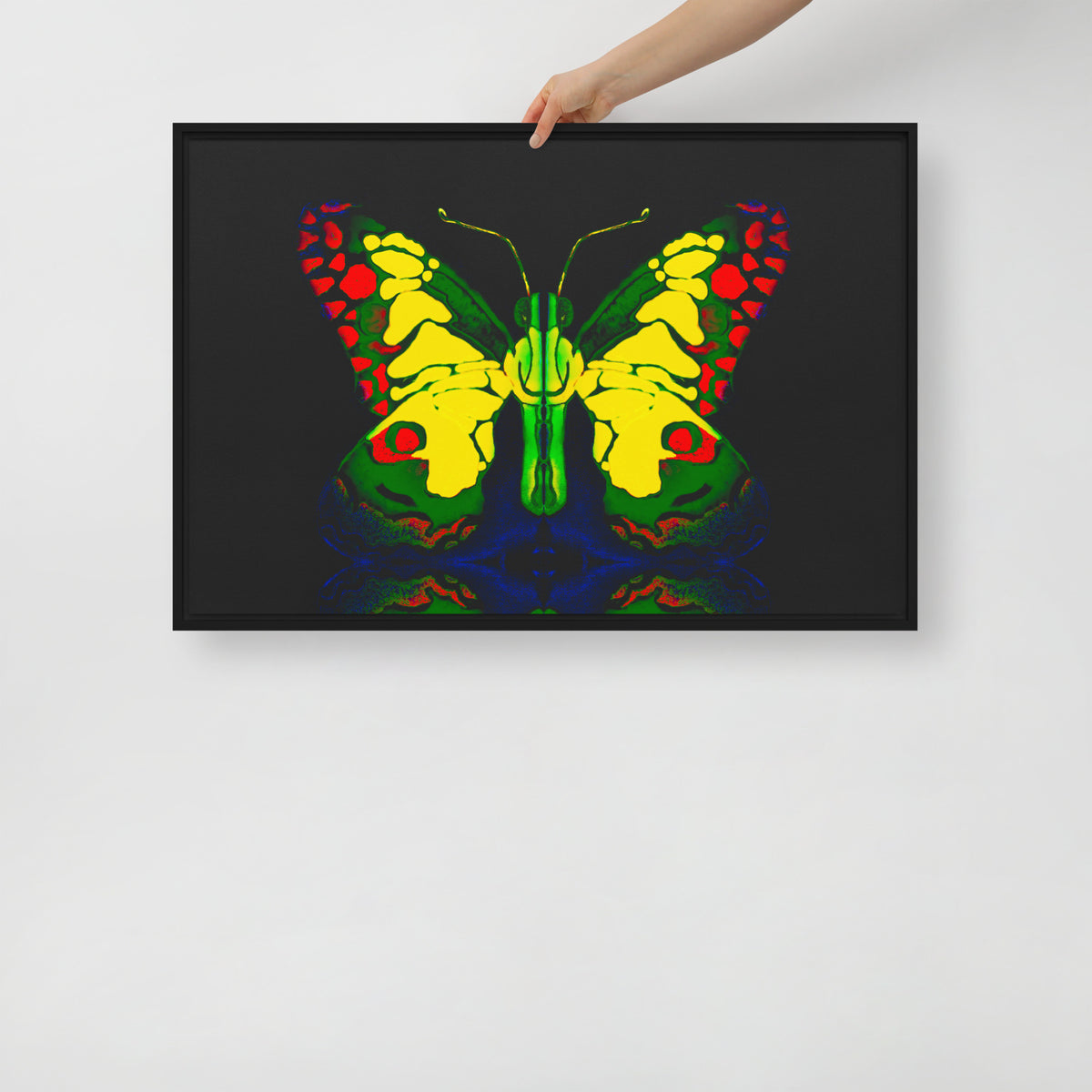 Framed canvas
